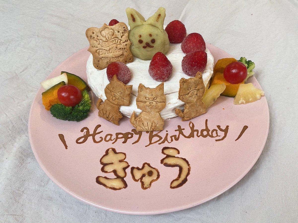 HKR_Lily_o7's tweet photo. 先日ちょっと早めにみんなでお祝いを🎂🎂🎂
#柴犬
#柴犬九七六
#これは九
#HAPPYBIRTHDAY https://t.co/vz55L0pquq