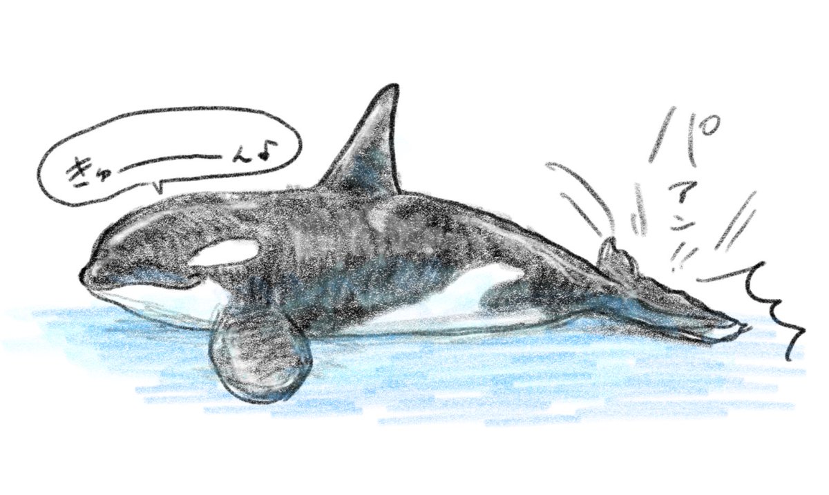 たくさん描けたのがうれしい!🐬🎶 