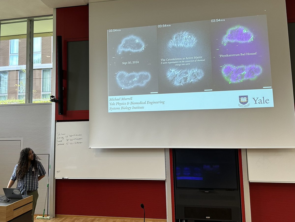 Ulrich Schwarz (also @ulrichschwarz.bsky.social) tweet media