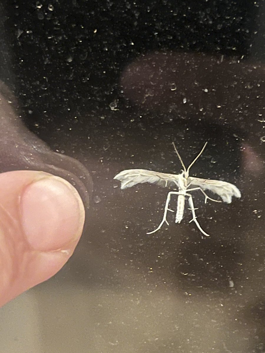 Dal Waters tweet media