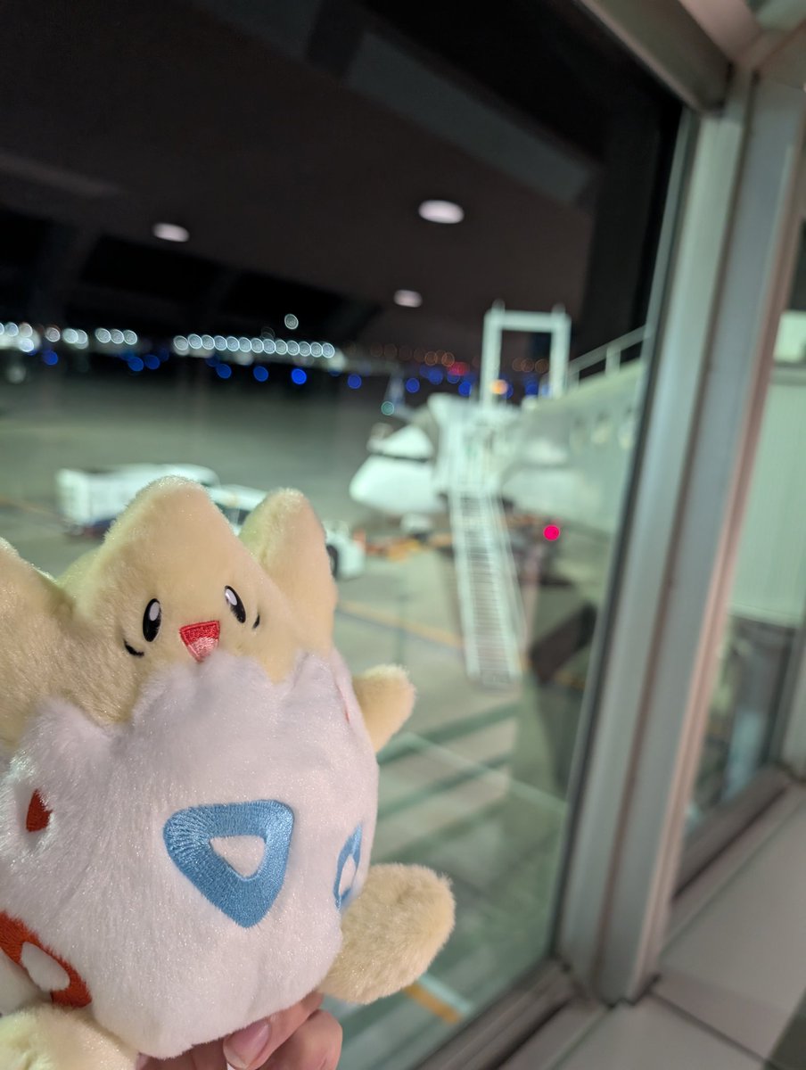 トゲピー、一緒に飛ぶよ