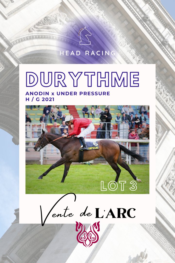 HeadRacing1's tweet image. VENTE DE L'ARC - 5 OCTOBRE @InfoArqana 

DURYTHME #anodin 
7 courses, 3 🏆🏆🏆, 3 deuxièmes places.

ROSA SALVAJE #MaximumSecurity
2e de Listed et 3e du Prix d’Aumale Gr.3

RAMADAN #LeHavre @sumbe_fr
🏆🏆Gr.3 
4e de Groupe 1 à 2 ans

LA GUAPISIMA #CityLight
🏆 Listed 
4e de Gr.3