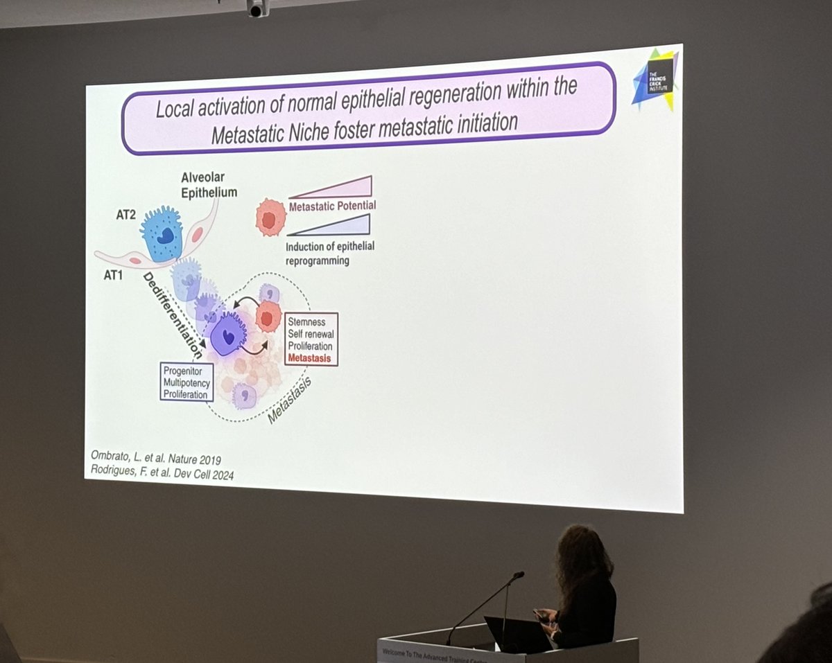 Marek Piprek (@piprekmarek) on Twitter photo Interesting talk by <a href="/IMalanchi/">ilaria Malanchi</a>! 🧬 She discussed how the regenerative potential of host tissue increases when hosting disseminated tumor cells, promoting metastasis growth. With a link to a specific neutrophil phenotype. #EESMetastasis #CancerResearch #TumorBiology #Neutrophils Interesting talk by <a href="/IMalanchi/">ilaria Malanchi</a>! 🧬 She discussed how the regenerative potential of host tissue increases when hosting disseminated tumor cells, promoting metastasis growth. With a link to a specific neutrophil phenotype. #EESMetastasis #CancerResearch #TumorBiology #Neutrophils