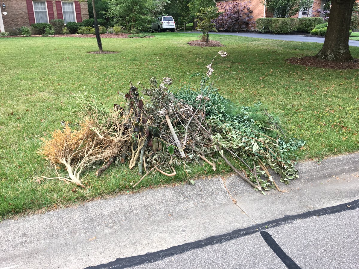 Special Brush Pick-Up.  Beginning Monday, Oct. 7, Public Works staff will begin a city-wide sweep to collect all limbs left by the storm. They will begin with the Friday route and continue their efforts until the city has been covered. For more info go to montgomeryohio.gov