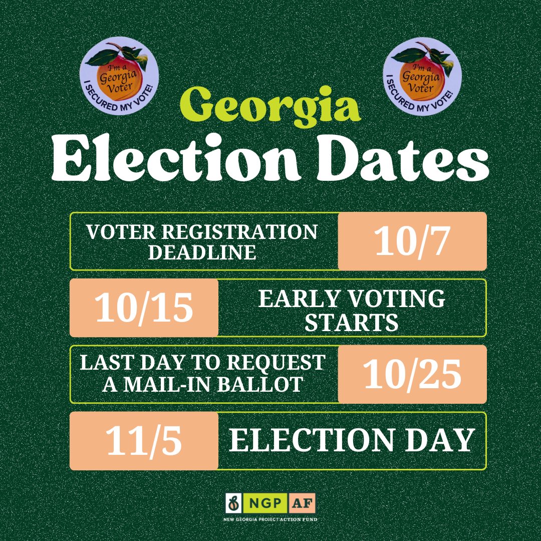 New Georgia Project Action Fund tweet media