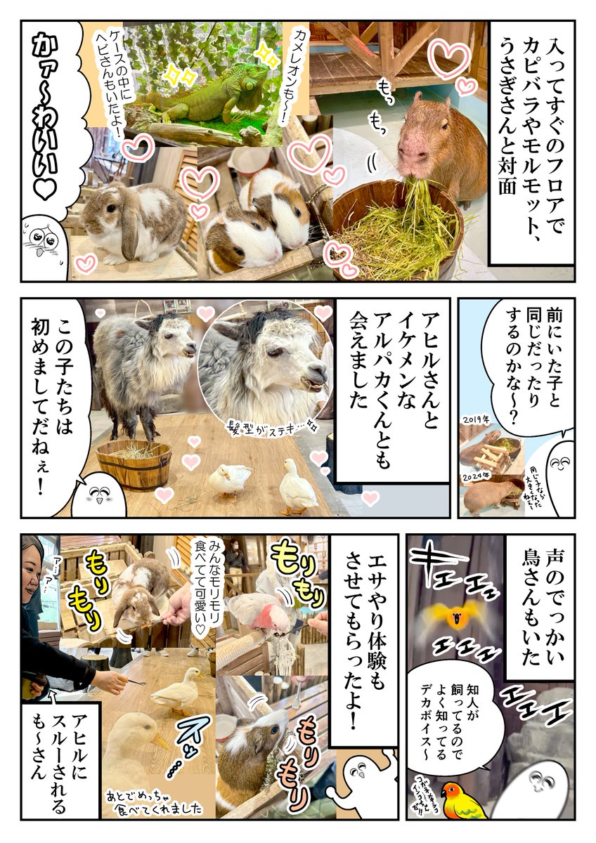 アニミルさんの6周年記念にご招待いただいたよレポ① 