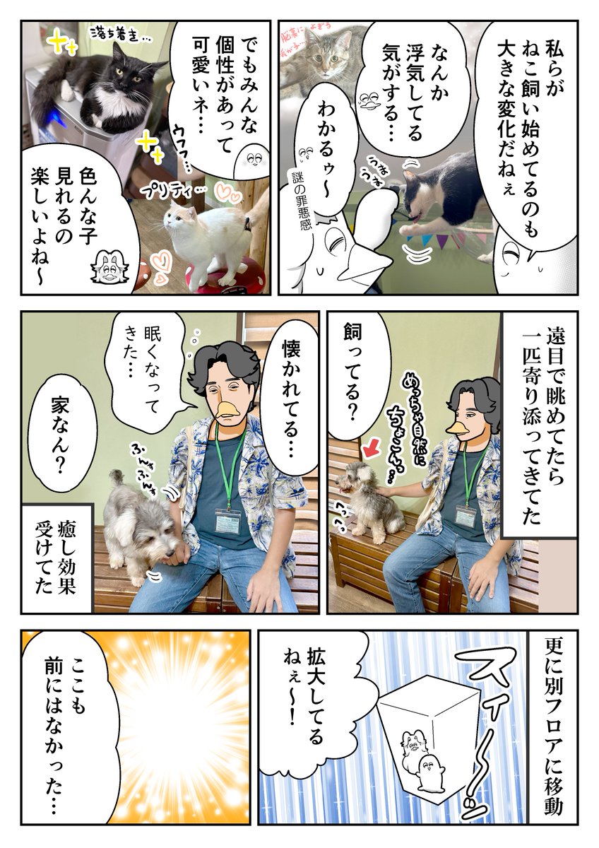 アニミルさんの6周年記念にご招待いただいたよレポ① 