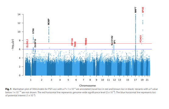 LNDBrainBank's tweet photo. A paper @LNDBrainBank has been involved in recently is availeble to read -> Whole-genome sequencing #wgs analysis reveals new susceptibility loci and structural variants associated with #progressive #supranuclear #palsy #psp. See link here -->
https://t.co/x41vR0gY4x https://t.co/uDmHC9bZ3E