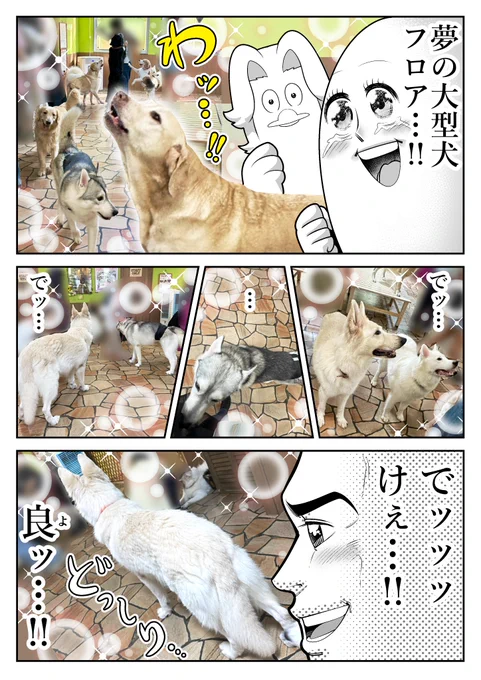 アニミルさんの6周年記念にご招待いただいたよレポ② 