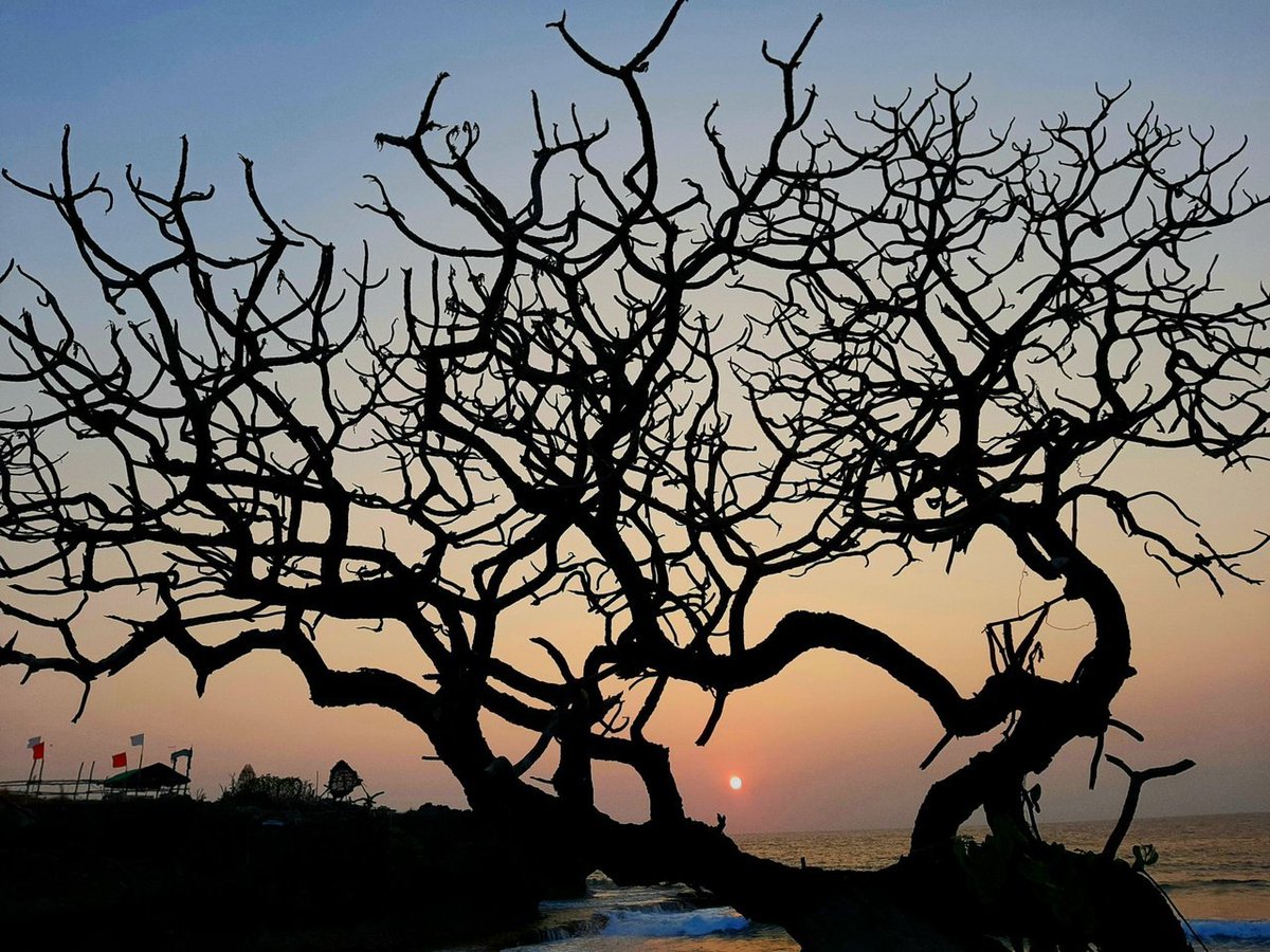 Visual Shots Community tweet media