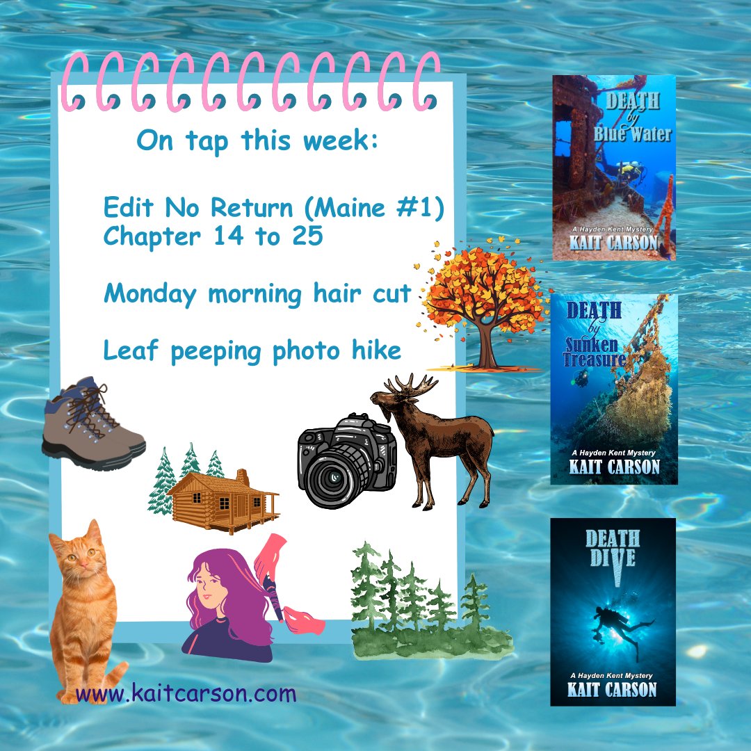 kaitcarson's tweet image. Fun stuff on tap this week. What's your plan? #weeklyplan #itsaplan