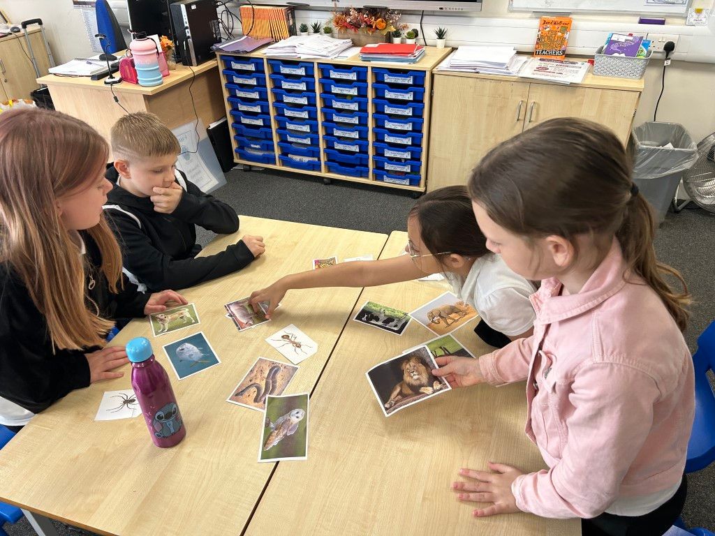 FoljambePrimary's tweet photo. 🐯 Class 4 have been learning all about the classification of living things. They began the lesson with some images of objects and living things, and arranged them into groups. 

See the full story and gallery here 👉 https://t.co/K4ywrb92OP https://t.co/3mZxoXlucN