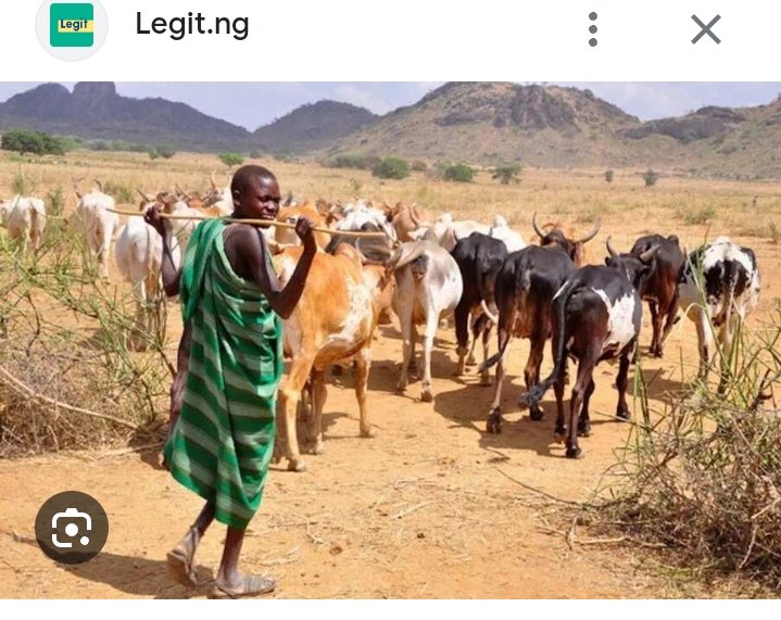 Isaiah Uba Official tweet media