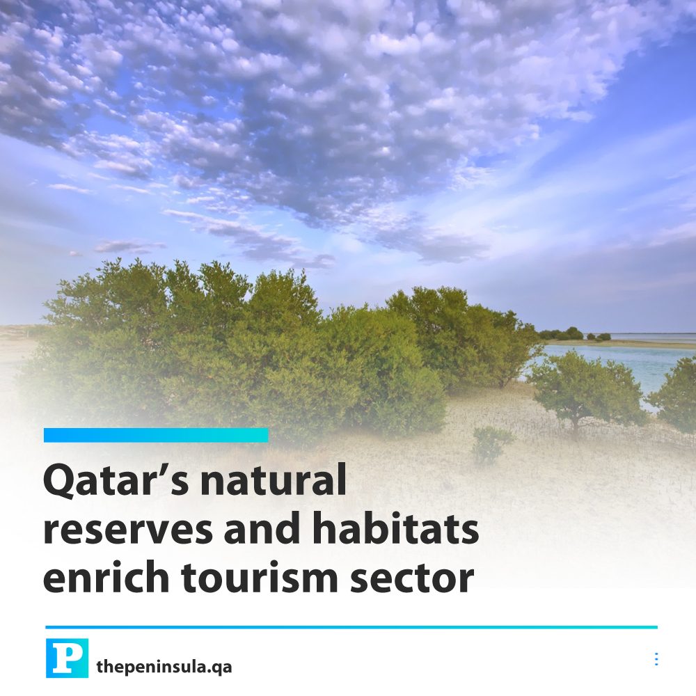 PeninsulaQatar's tweet photo. Qatar’s natural reserves and habitats enrich tourism sector
https://t.co/VXJDGgzC0r

#Qatar #NaturalReserves #QatarTourism #VisitQatar https://t.co/nuW62ZILOk