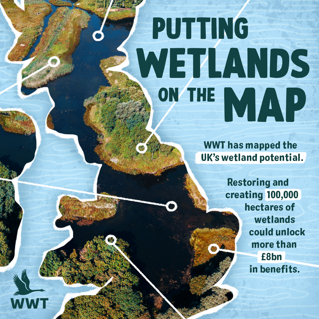 Today we're launching our Wetland Potential Maps. 🗺️ 

Looking at where wetlands would provide the most value to people and nature, the maps highlight 100,000 hectares of wetland potential around the UK.  

Find out more here 👉 ow.ly/gk0r50TyHeP