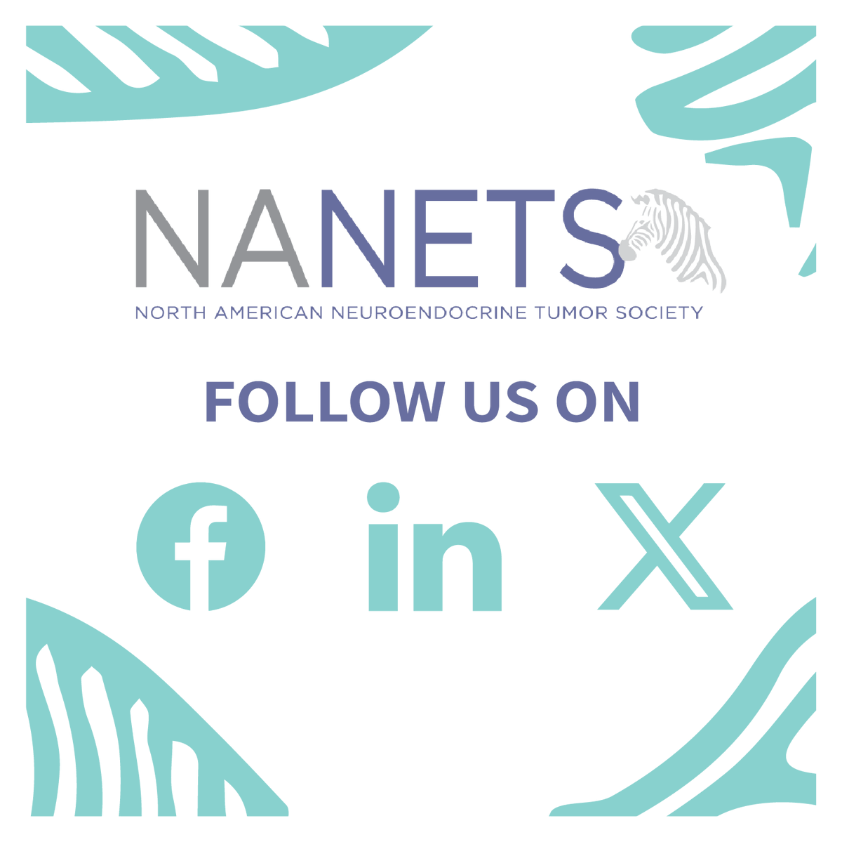 NANETS1's tweet photo. Don't forget we are on FB & LI as well! Join us there and get content you won't find here.
#FollowUs #NETReasearch #NANETS https://t.co/ufSSHqhcHj