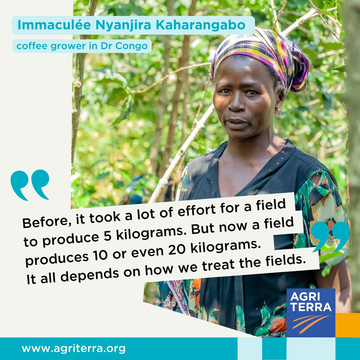 𝐓𝐫𝐚𝐧𝐬𝐟𝐨𝐫𝐦𝐢𝐧𝐠 𝐥𝐢𝐯𝐞𝐬 𝐭𝐡𝐫𝐨𝐮𝐠𝐡 𝐬𝐮𝐬𝐭𝐚𝐢𝐧𝐚𝐛𝐥𝐞 𝐩𝐫𝐚𝐜𝐭𝐢𝐜𝐞𝐬
In the heart of DR Congo’s Kalehe territory, coffee production is not only revitalising local economies but also transforming lives. 
agriterra.org/empowering-cof…

#InternationalCoffeeDay ☕