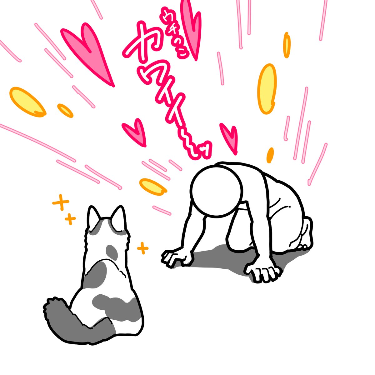 猫と人間の関係

#ねこのいる暮らし 