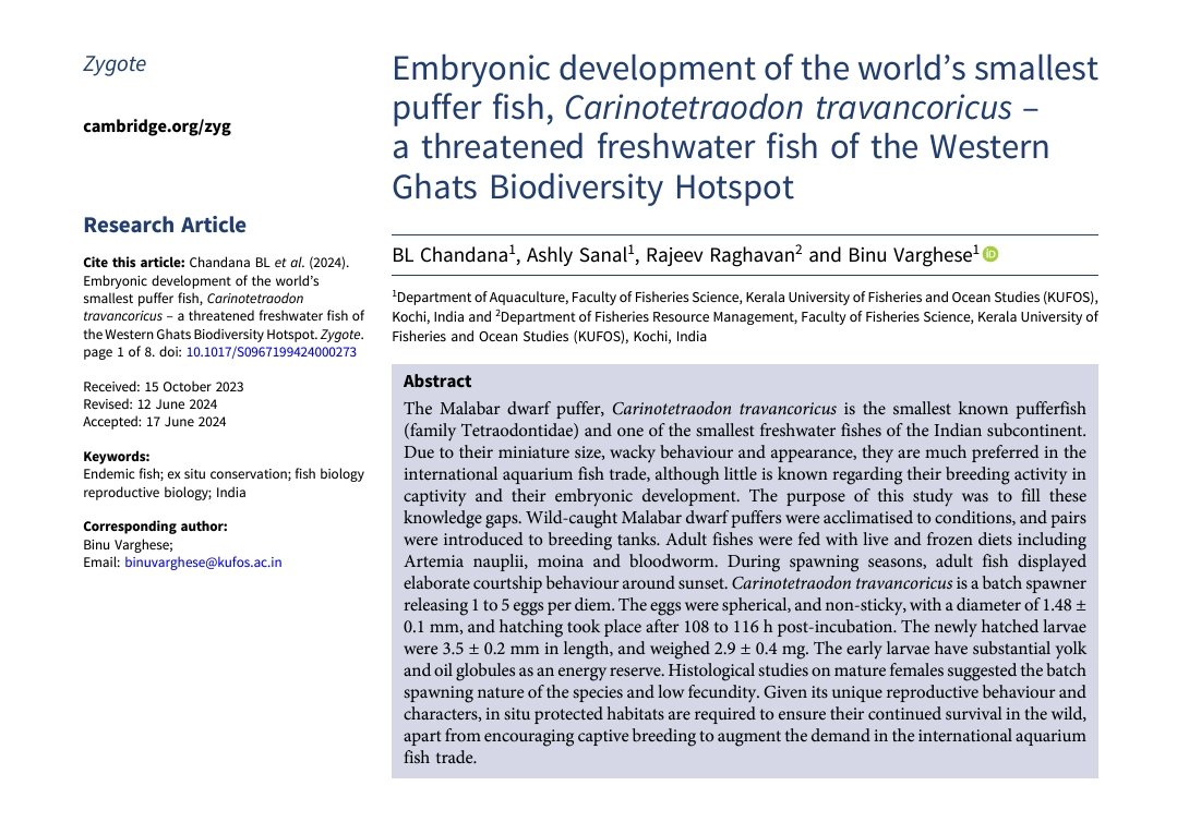 Hot off the press in 'Zygote' <a href="/CambridgeUP/">Cambridge University Press</a> - the embryonic development of the world's smallest pufferfish, Carinotetraodon travancoricus
#pufferfish #WesternGhats
#threatenedspecies
🐡🐡🐡🐡

cambridge.org/core/journals/…