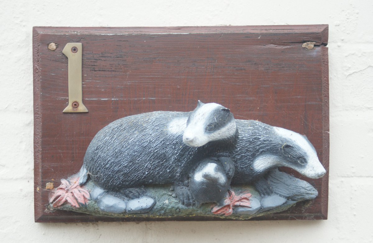 Tim Ranson tweet media