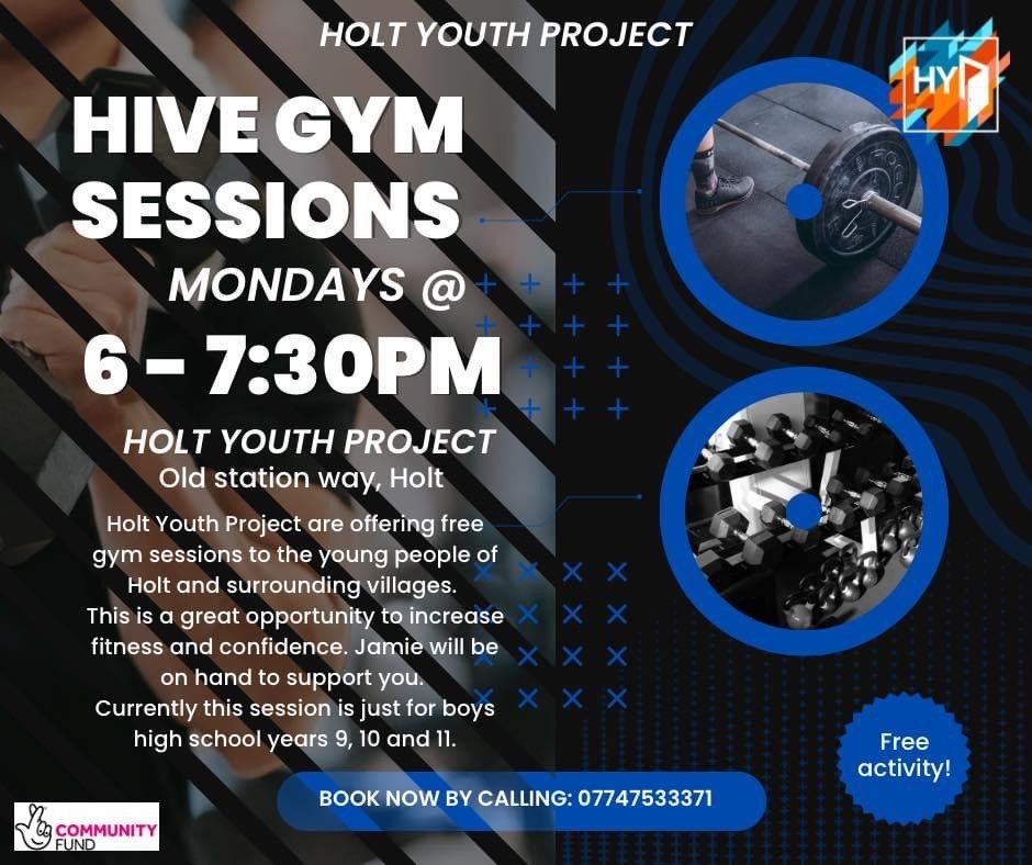 Holt Youth Project tweet media
