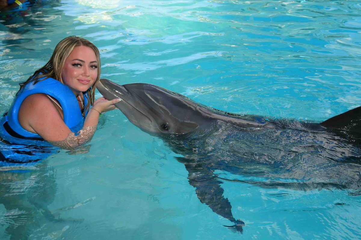 misselleexx's tweet photo. 🐬🐬🌊 https://t.co/glKZQ3IoL0