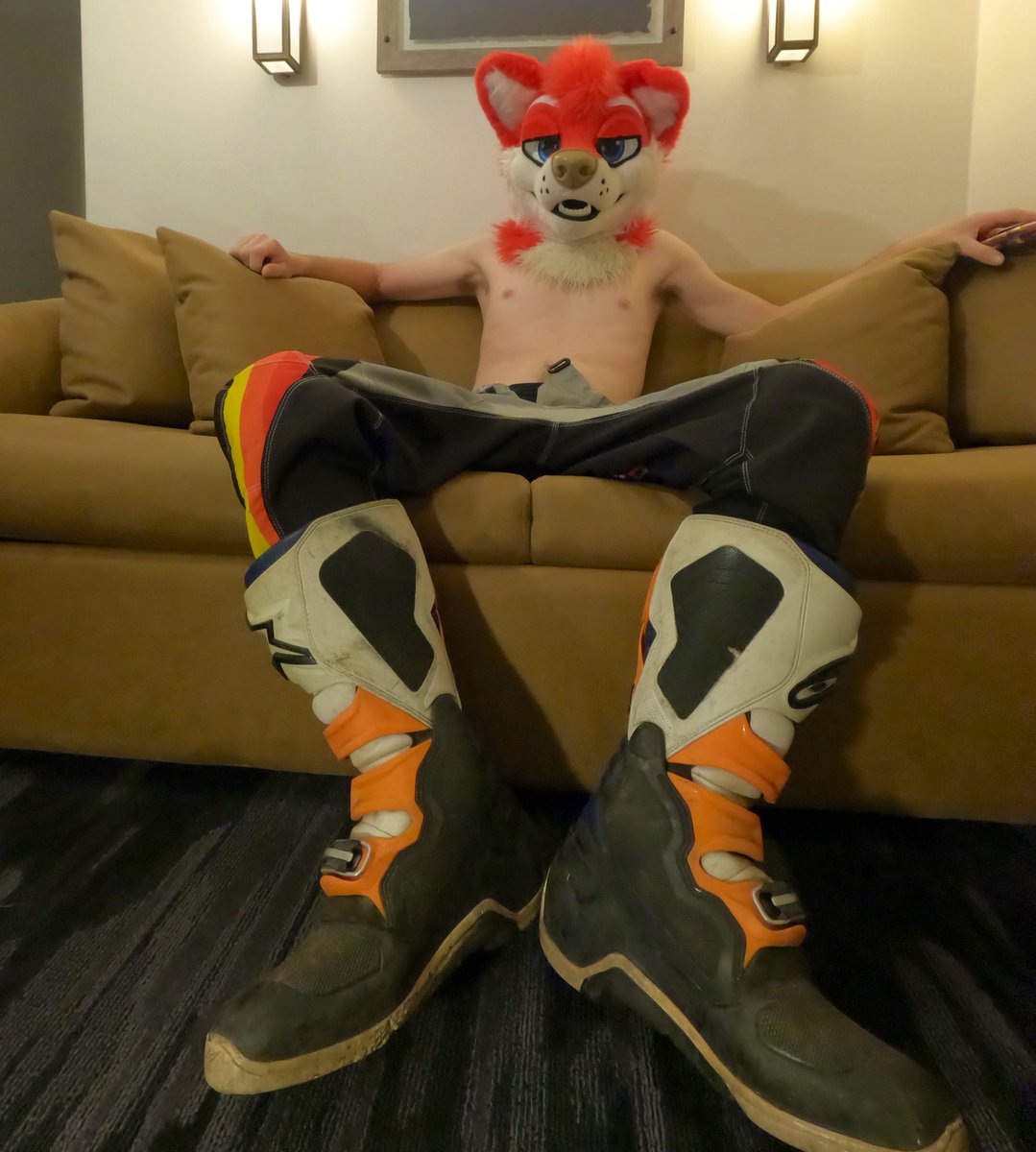 MX Dog 🥾🐾 🔜 ANE | NFC tweet media