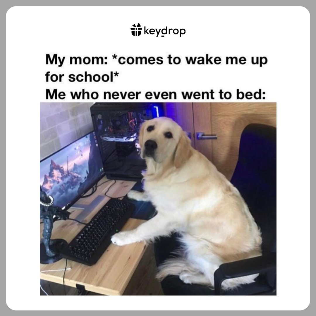 keydropcom's tweet image. That feeling xd 😂 Miss these times 🥹

——🎁——
Get FREE $0.50 + 10% deposit BONUS 🔥
Use code: TWITTER 💙

Claim Bonus, 2 FREE Cases &amp;amp; JOIN $1600+ GIVEAWAY 👉 keydrop.com/?code=TWITTER

#cs2 #cs2meme #csgo #csgomemes