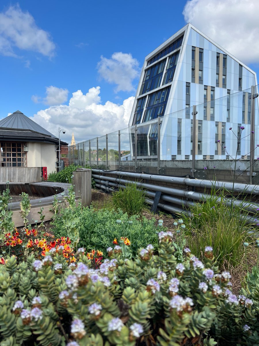 From lush green spots to cutting-edge research, NTU puts sustainability at the heart of everything we do. It's why we're ranked as the 2nd most sustainable university in the world (2023 UI GreenMetric World University) 💚

What's your favourite sustainable spot on campus? 🙌