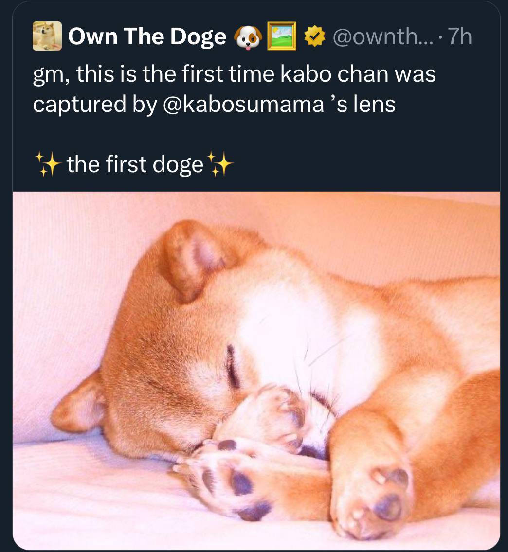 Ze Crypto Lab tweet media