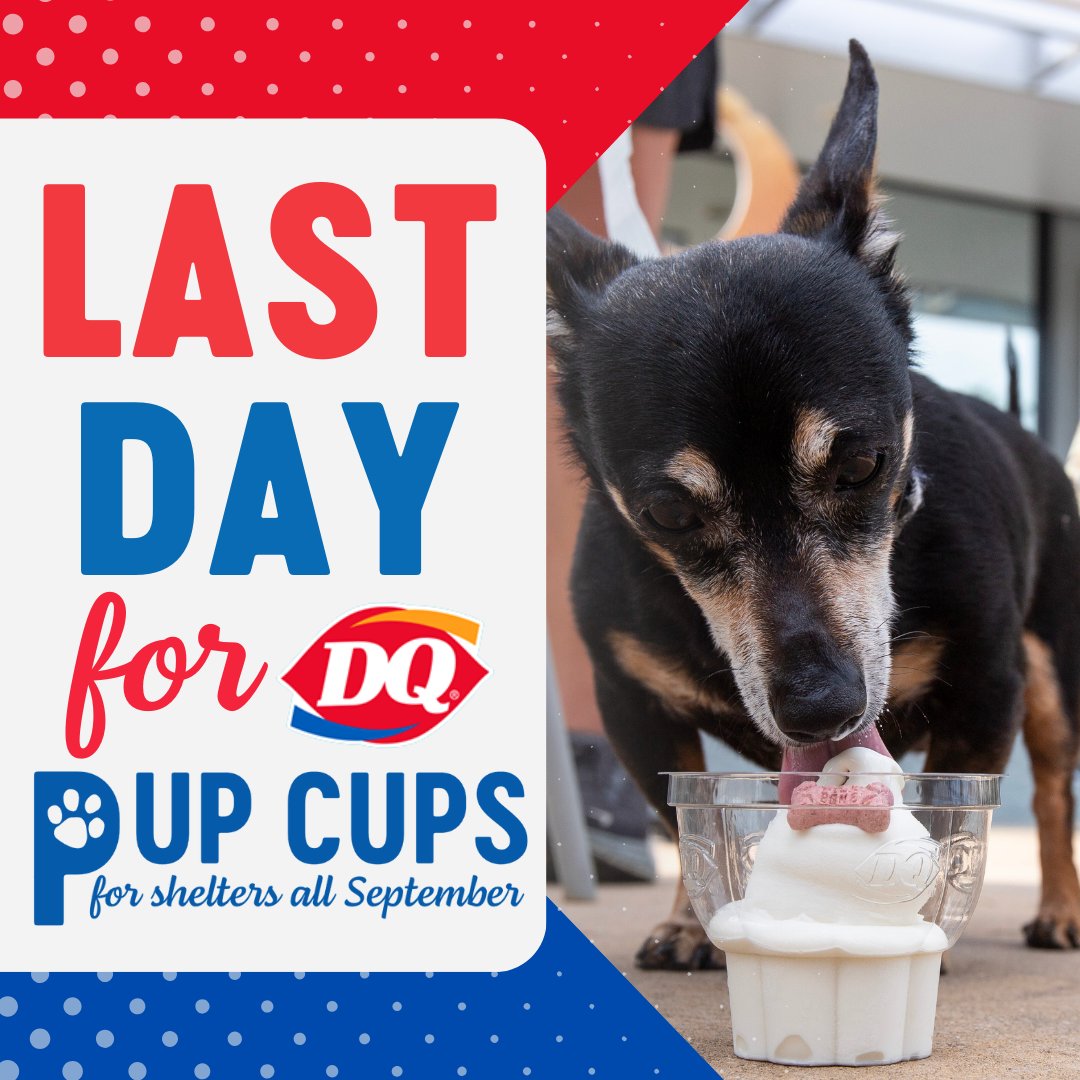 dqhamptonroads's tweet photo. TODAY IS THE LAST DAY FOR PUP CUPS FOR SHELTERS!

Each DQ pup cup sold = 100% donated to help the furry friends in your local shelters! Get your pup a happy treat today! 

Visit https://t.co/f1NNqpQk1X for a list of locations https://t.co/2UmTQAf2D7