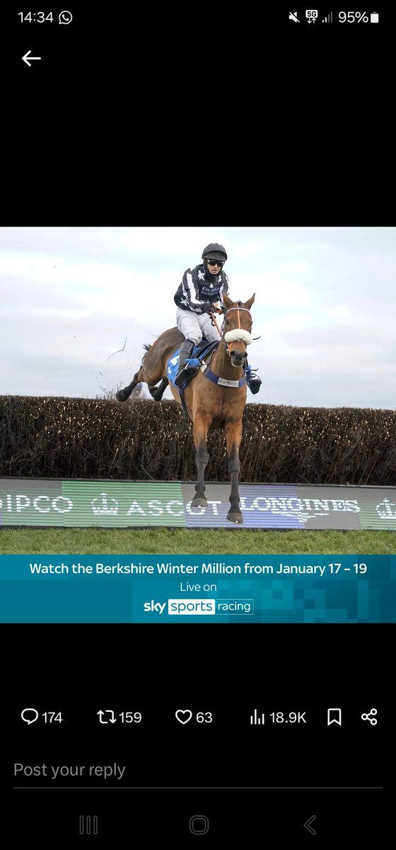 matthew_d_roy's tweet photo. @AtTheRaces @Ascot @WindsorRaces https://t.co/12dLo8UTez
