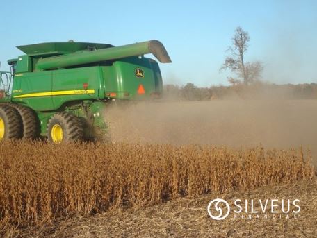 Quarterly Grain Stocks Report is released today at 12:00 PM ET by the National Agricultural Statistics Service and the USDA.
Get all the report details from a Silveus Financial Advisor today 800-747-1951.
#silveusfinancial #Harvest2024 #reportday
