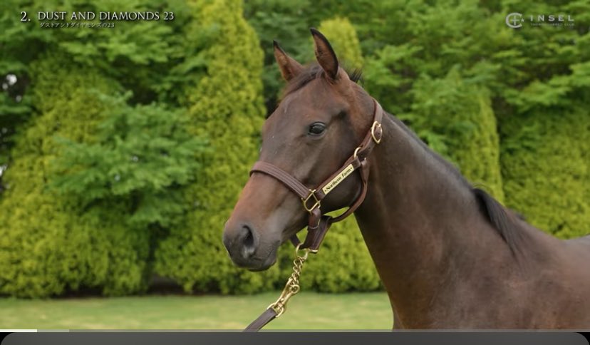 マコ (@mk19821221) / Posts / X