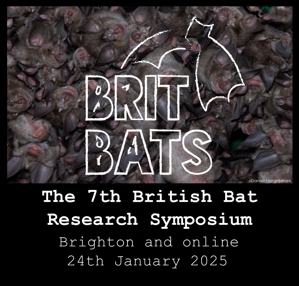 Tickets for BritBats 2025 are now on sale!  

Until 31st October, you can use the discount code 'EARLYBAT' to get £5 off any in-person ticket type 🦇 britbats.com/tickets 

We look forward to seeing you all there
