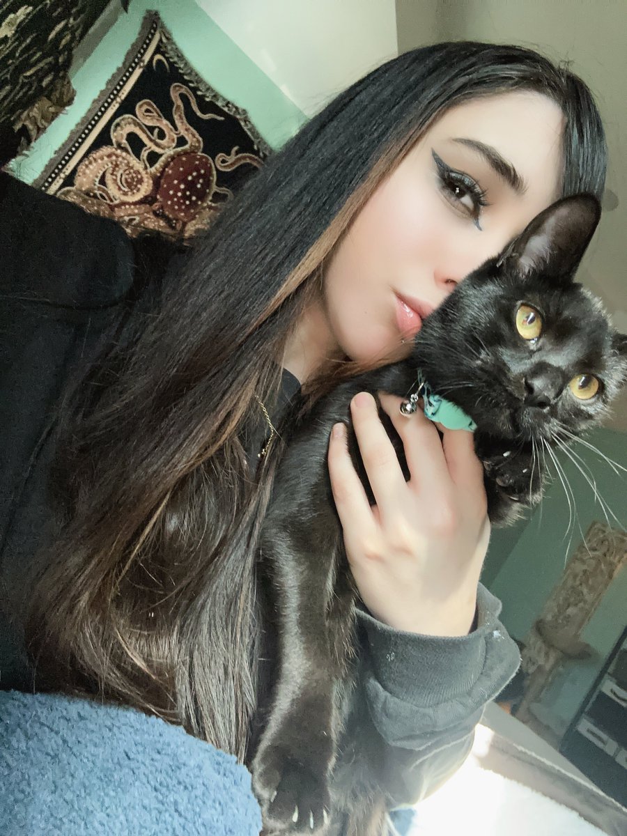 kiwithesmol's tweet photo. Last night, Luna, my very first cat on my own in this world, passed away from a severe seizure. She had never shown any signs of epileptic behavior or symptoms before. It was completely unpredictable.
It has been a super long, exhausting night, between mourning and crying, holding her little body and clinging onto her for as long as I could, and performing CPR for 2 hours to try to aid her back to somewhat health as I was hoping things would be okay enough until I could get to the vet as soon as the morning hit. I am extremely devastated, and deeply hurt. It’s a hurt I can’t even put into words. I just can’t stop crying about her. She was my baby girl, she was absolutely like a child to me. She was the sassiest, silliest, and sweetest cat. Her and Artemis became best friends so quickly and my heart breaks now that he won’t have her anymore either. The weight of the emotions and grief is just too heavy, so heavy. I will remember her forever, my little sweet baby girl Luna. 🌙 💔 It will take me a while to get over this, but I honestly don’t think I ever will. I fought so hard through the night to try to save her. I found her as a weak, malnourished, nearly dead little runt kitten in the ditch and I nourished her and cared for her 24/7 for 6 months straight to get her to great health. And she was healthy, she got so so healthy, so pretty. I will be getting a memorial service for her, with an Urn, and paw print molds and picture frames to set up her own forever memory in my home. I loved her so so much. It truly feels like a piece of me is now gone. Fuck, man. I am hurting so deeply. I will forever miss her, she didn’t deserve this. 💔😭