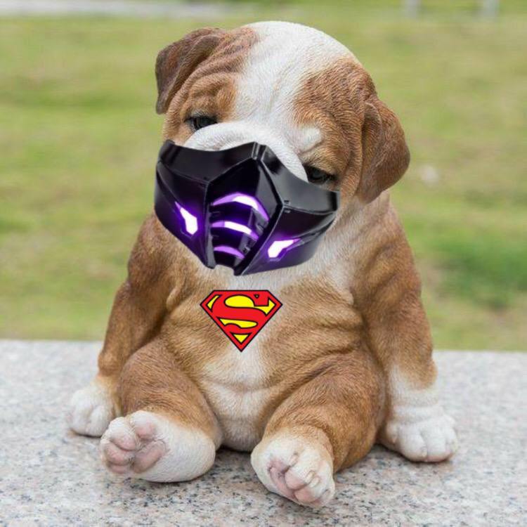 MostRealChad's tweet photo. @lynk0x INDEED
$PUMPY NO DUMPY https://t.co/U3HP0Q5ZmG