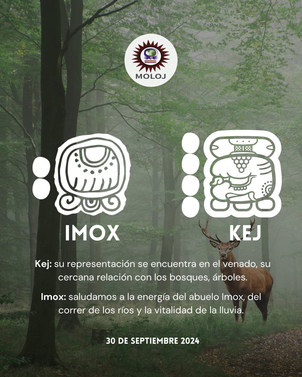asociacionmoloj's tweet photo. #Imox 🦎 | Les deseamos un buen inicio de semana 🤗
Fortaleciendo nuestra participación política y la defensa de nuestros derechos individuales y colectivos.🔥✊🏽
#lunes
#derechoshumanos
#espiritualidadmaya https://t.co/81OjnBinA2