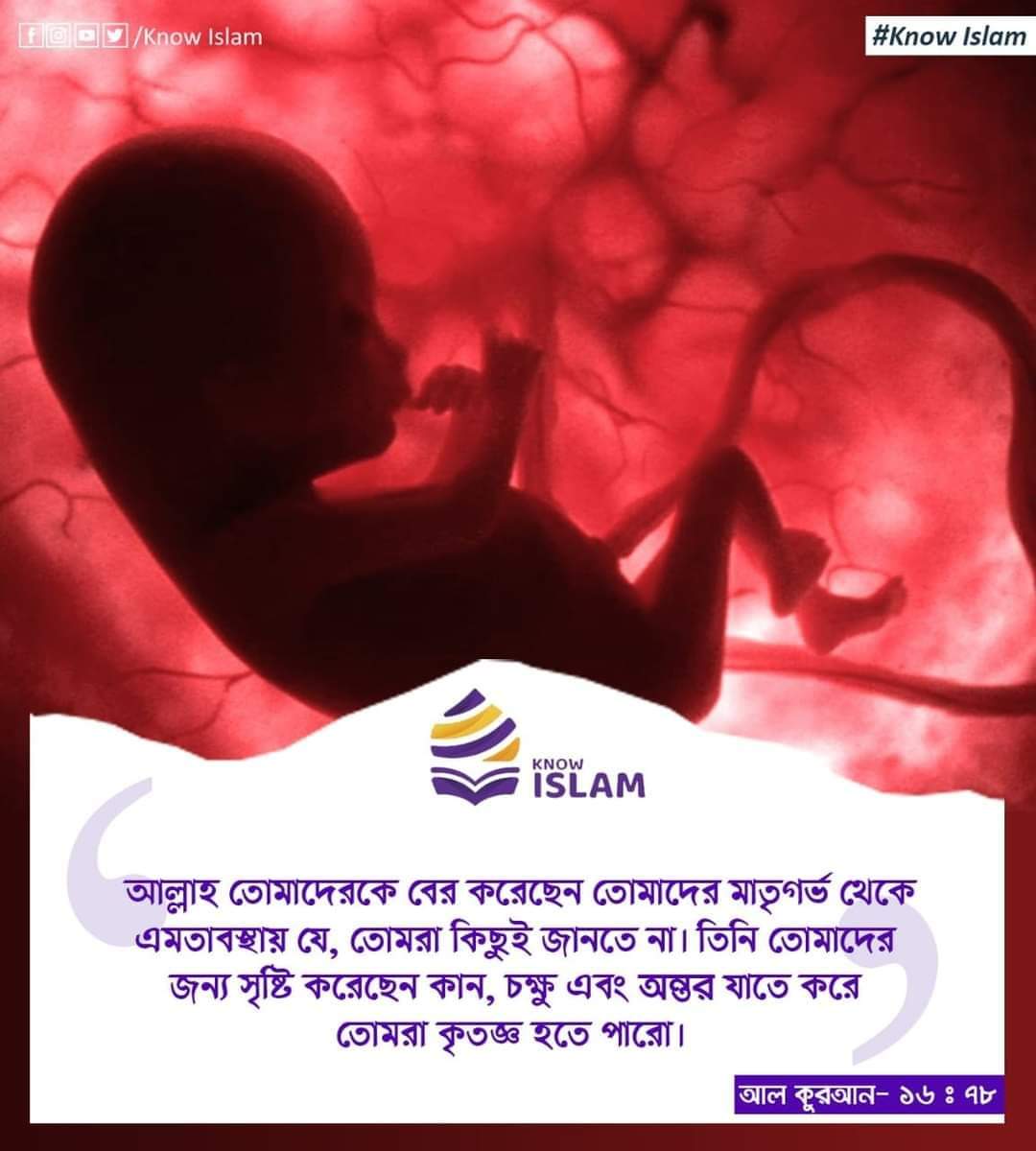 AzamHossain11's tweet photo. "আল্লাহ তোমাদেরকে বের করেছেন তোমাদের মাতৃগর্ভ থেকে এমতাবস্থায় যে, তোমরা কিছুই জানতে না। তিনি তোমাদের জন্য সৃষ্টি করেছেন কান, চক্ষু এবং অন্তর যাতে করে তোমরা কৃতজ্ঞ হতে পারো।" -আল কুরআন ১৬:৬৭
#KnowIslam
#QuranForAll https://t.co/0FO31NU1BU