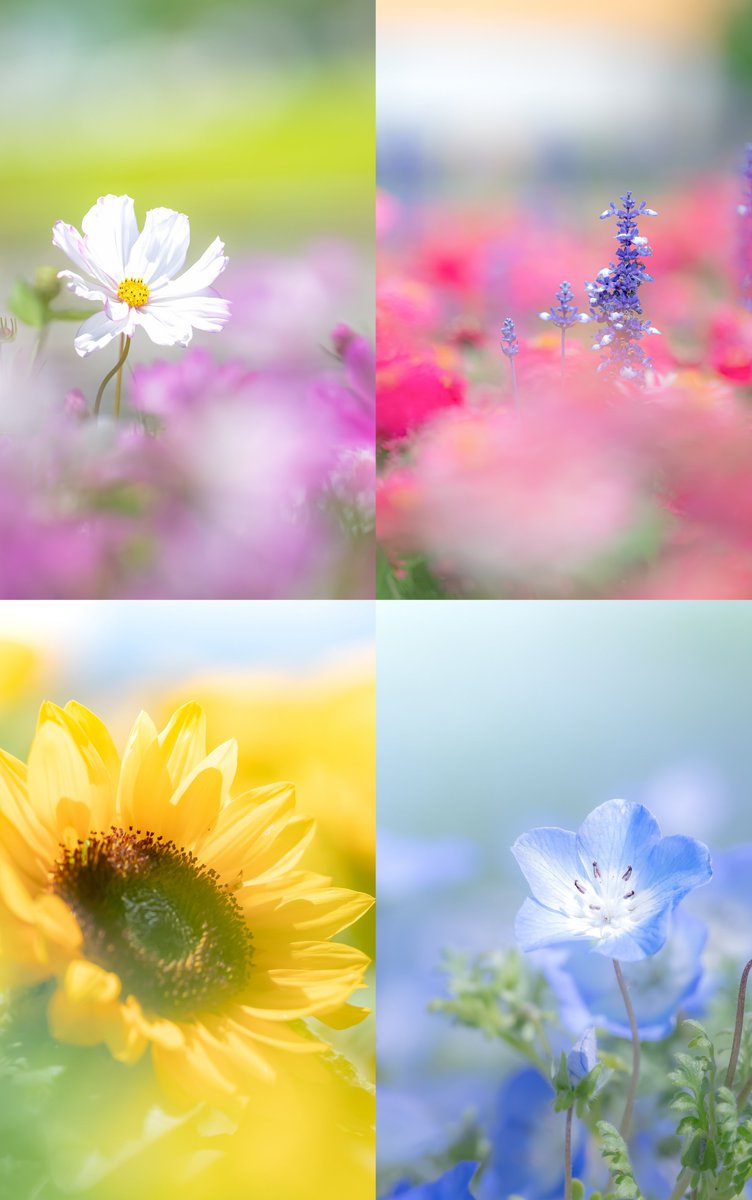 みつさん@ZX636G☄️ (@setsuna_mitsu) / Posts / X