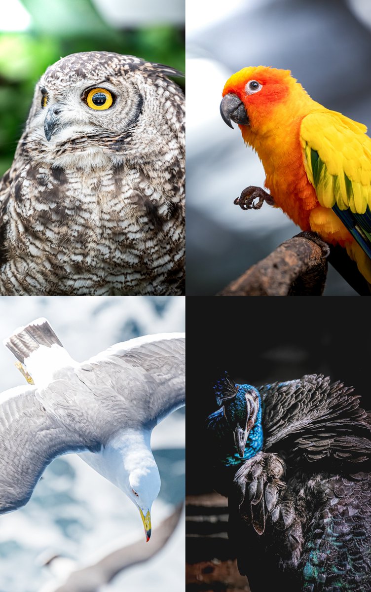 みつさん@ZX636G☄️ tweet media