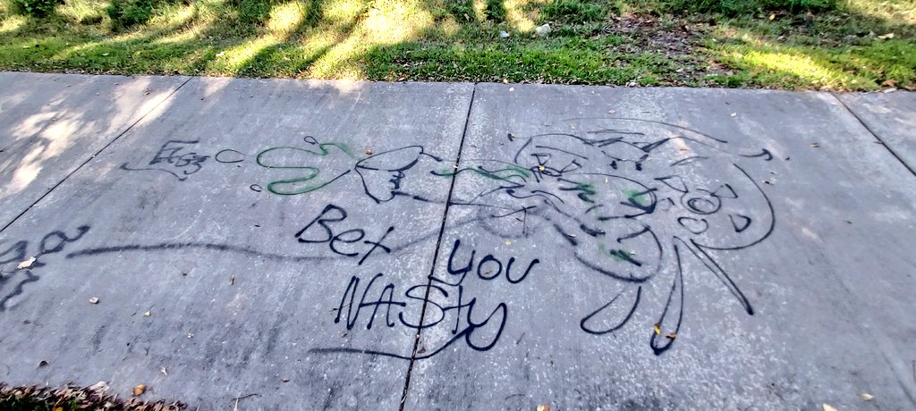 Col_SandersT's tweet image. 🐝 I am very serious! Take a look at how the demonic system in Kansas &amp;amp; Topeka, KS, is failing the residents &amp;amp; visitors. There is definitely a gang problem in Topeka. With the increase of illegals in America, government greed &amp;amp; corruption, economic crisis, religion-Crime goes🆙️