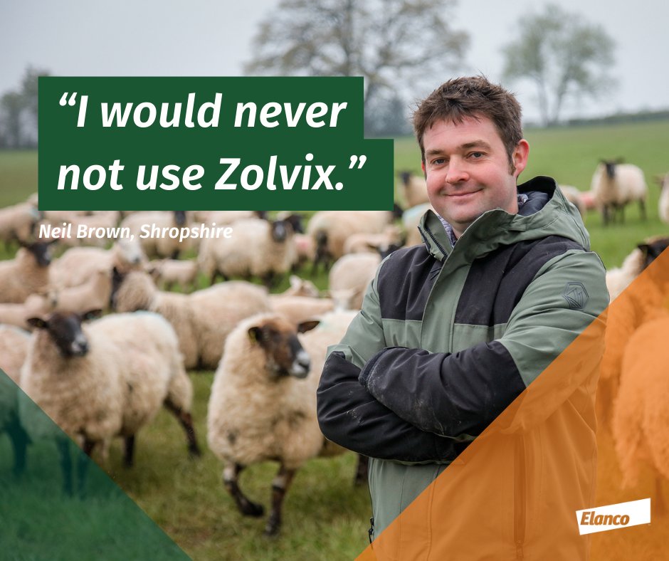 Shropshire sheep farmer, Neil Brown, invests in an annual wormer break dose to clear out any resistant worms accumulated over the season &amp; safeguard his lambs’ growth rates. Follow the link below to find out why a Group 4 wormer is worth every penny 👇bit.ly/3WUiZjf