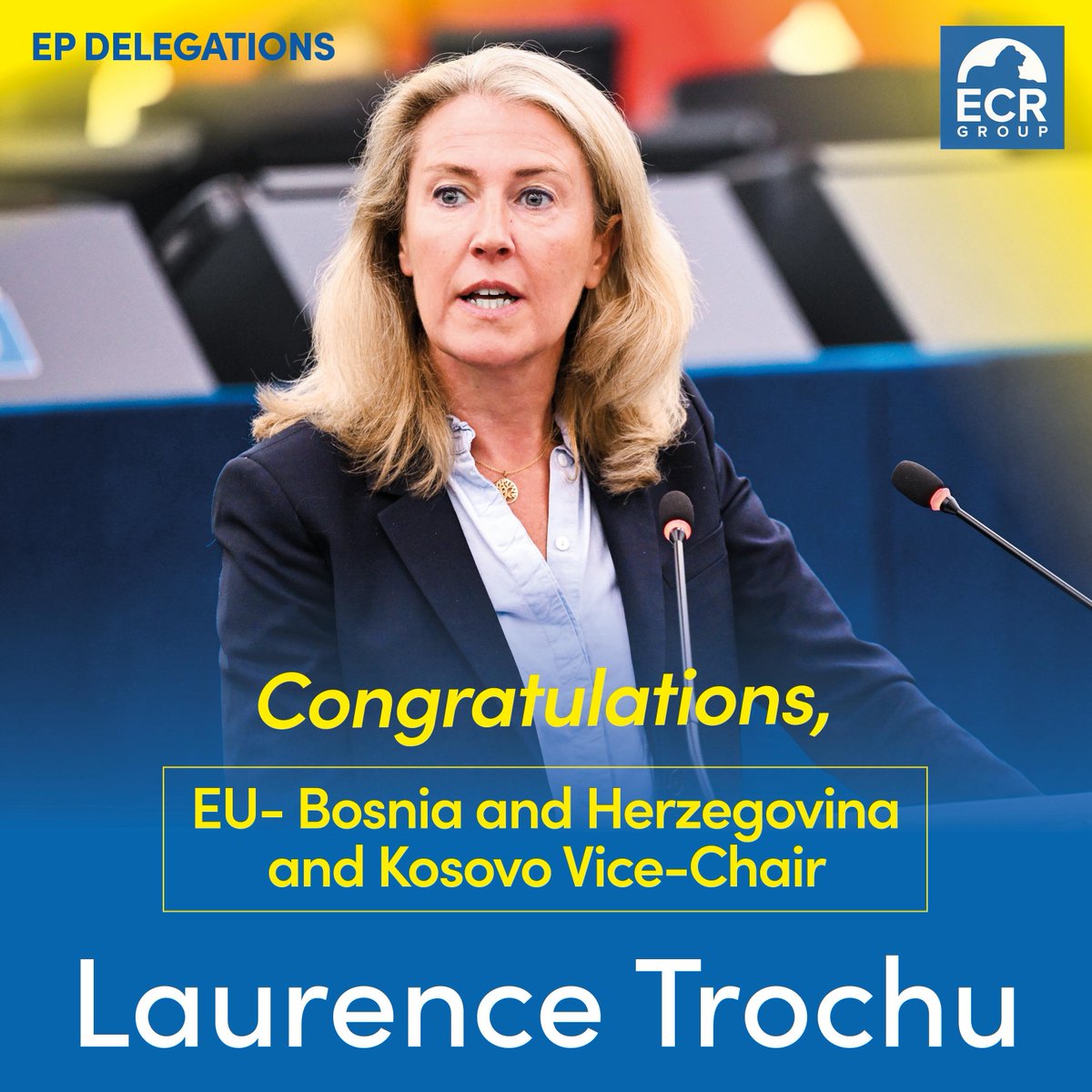 👏 Félicitations, Mme <a href="/LaurenceTrochu/">Laurence Trochu</a> !

The ECR Group congratulates you on your election as Vice-Chair of the European Parliament's delegation for relations with Bosnia and Herzegovina and Kosovo, including the EU-Bosnia and Herzegovina Stabilisation and Association