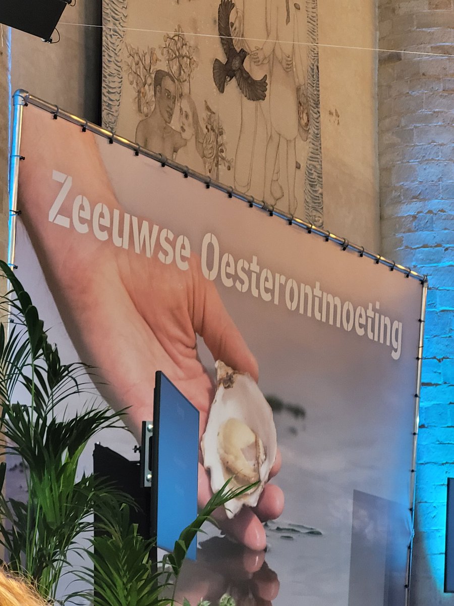 ZeelandinDenHaag tweet media
