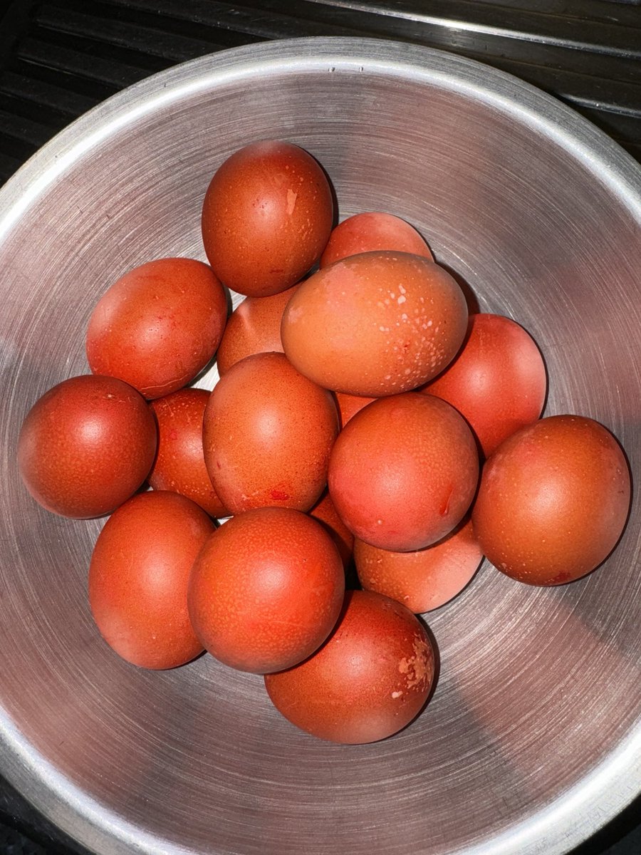 WynnSedai's tweet photo. 2nd batch of salted eggs swimming in brine for 3 mths. 

#saltedeggs #itlognapulawithkamatis #itlognapula #homemade #oishisou #yummy #comfortfood #filofoodinoz #myeatventures https://t.co/RDMoDV9ZAM