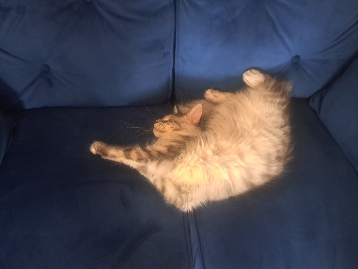 Doesn't look too comfy 😆