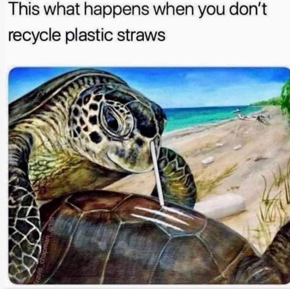 meme bastard 💚 tweet media