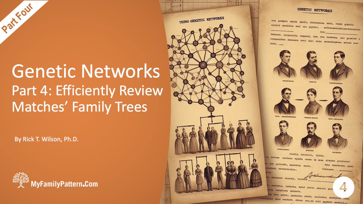 MyFamilyPattern's tweet image. Efficiently review your matches’ family trees within an identified genetic network using this 3-step process. In the 4thpost in this 7-part series, see how to evaluate, build, and extract genealogical information from your matches’ trees. myfamilypattern.com/geneticnetwork…