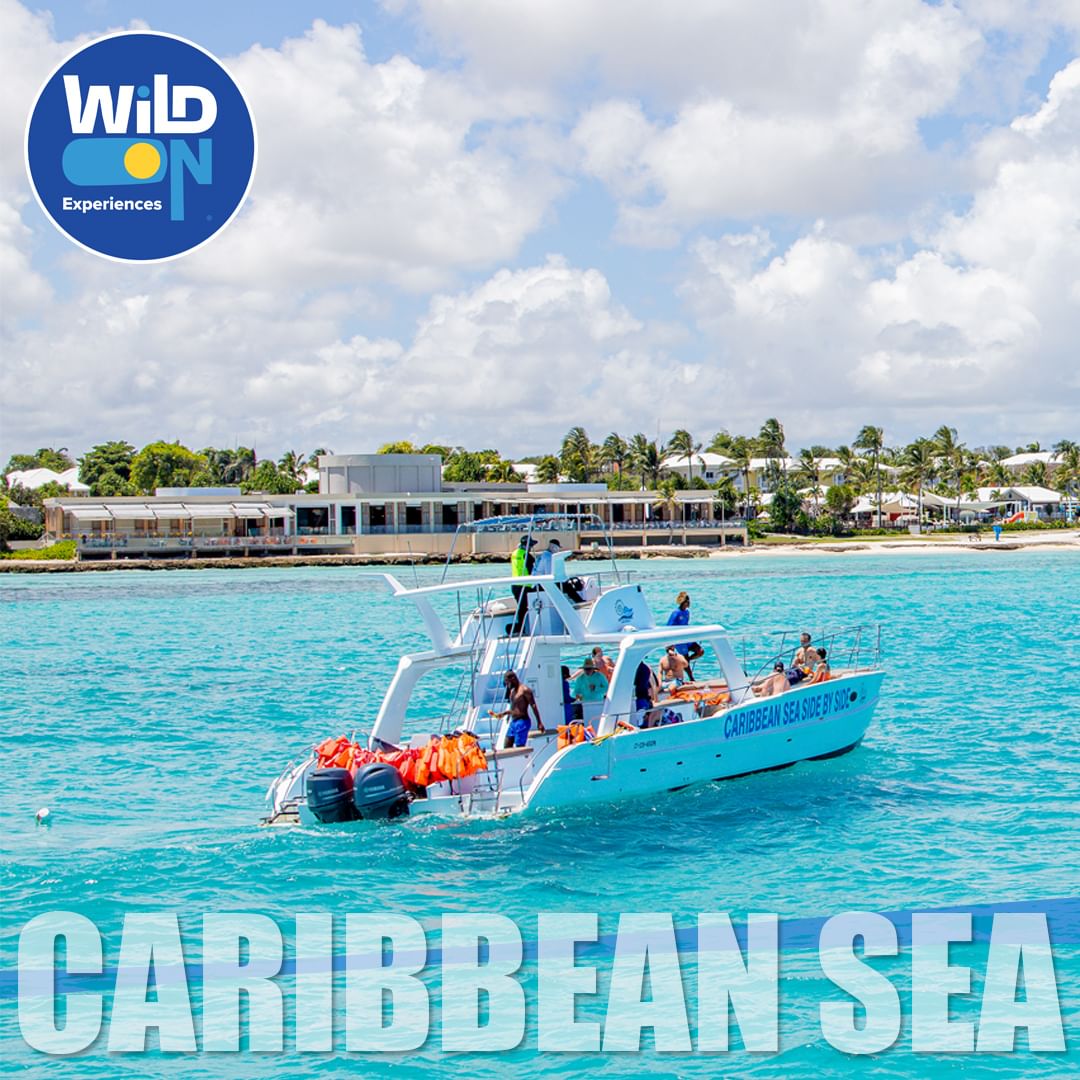 Wildonpuntacana's tweet photo. Adventure awaits! Join us on an unforgettable catamaran excursion in Punta Cana. Perfect for family and friends! 🚤✨
Contact us for more information and reservations
📲+1 (809) 646-5964
#wildon #wildonpuntacana #PuntaCana #puntacana2024❤️ https://t.co/MeYAoSnQaS